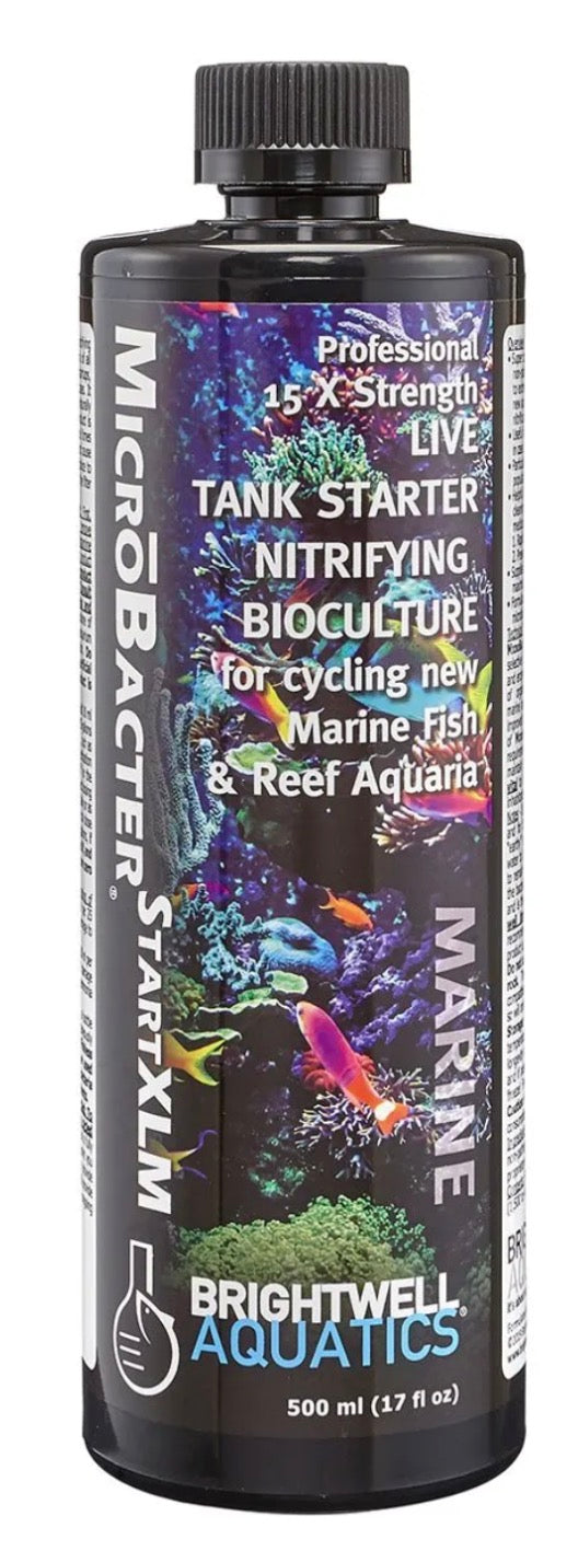 BRIGHTWELL AQUATICS MICRŌBACTER START XLM