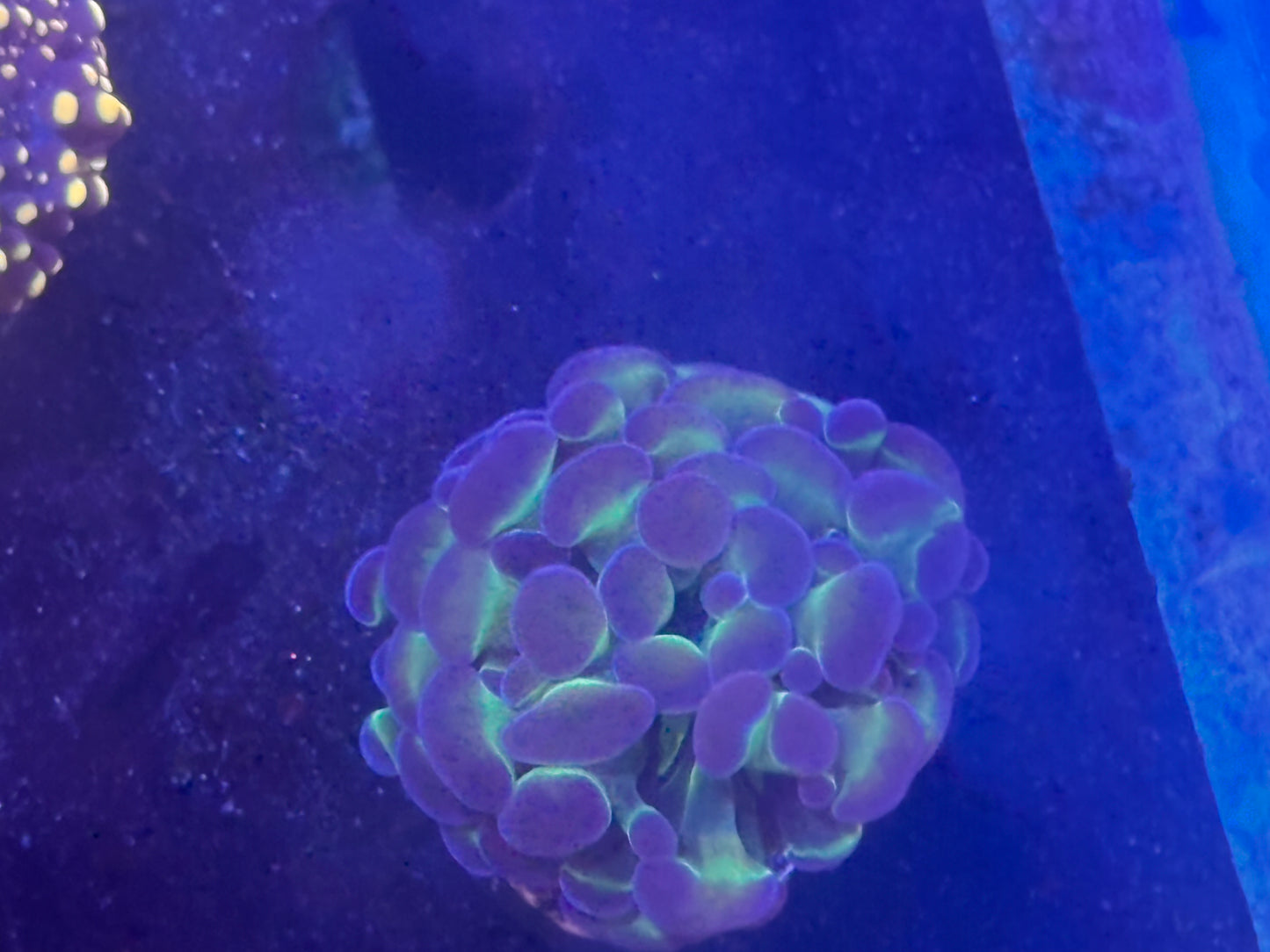 Hologram hammer