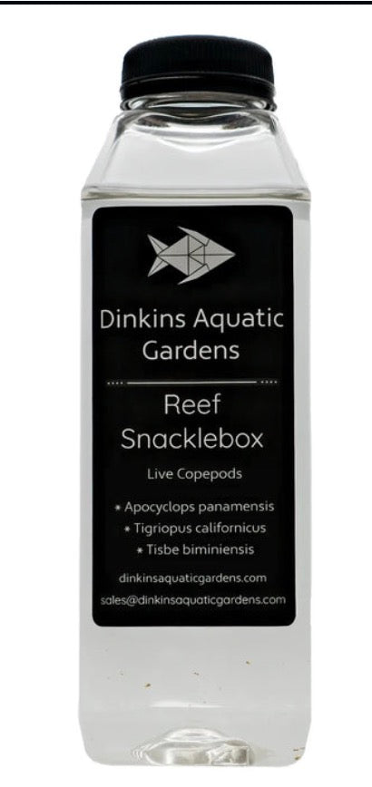 DINKINS AQUATICS GARDENS REEF SNACKLEBOX LIVE COPEPODS 16OZ