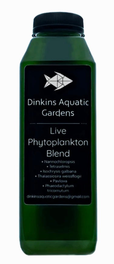 DINKINS AQUATIC GARDENS LIVE PHYTOPLANKTON 16OZ