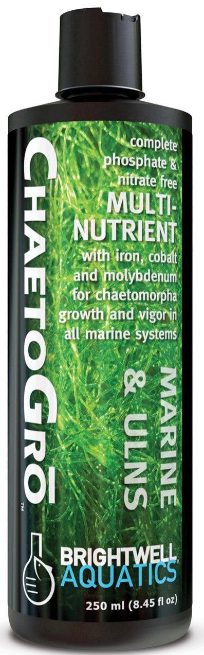 BRIGHTWELL AQUATICS CHAETOGRŌ