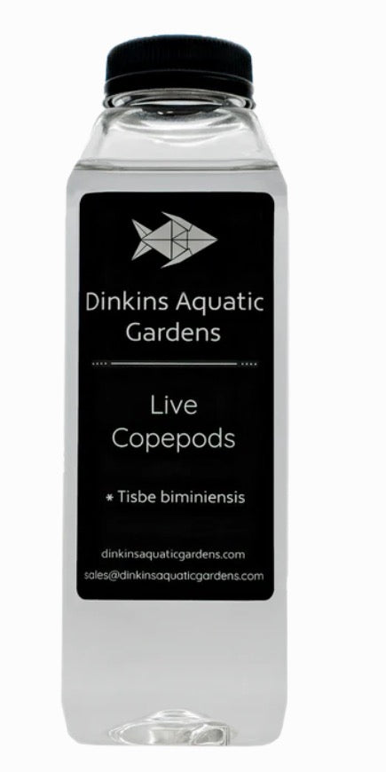 DINKINS AQUATIC GARDENS TISBE LIVE COPEPODS 16OZ