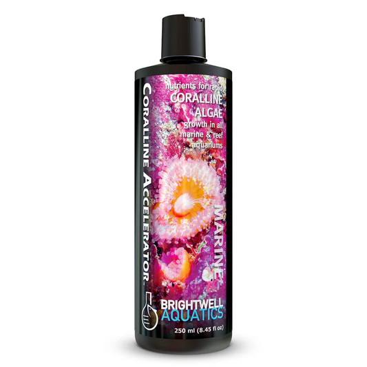 BRIGHTWELL AQUATICS CORALINE ACCELERATOR