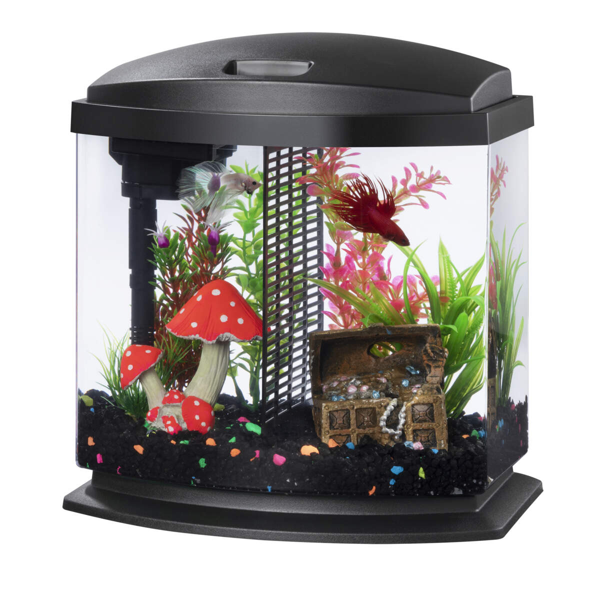 AQUAEON 2.5 GALLON BETTABOW