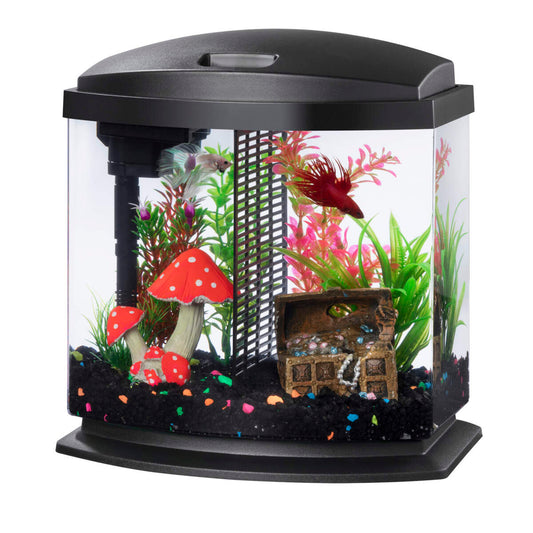 AQUAEON 2.5 GALLON BETTABOW